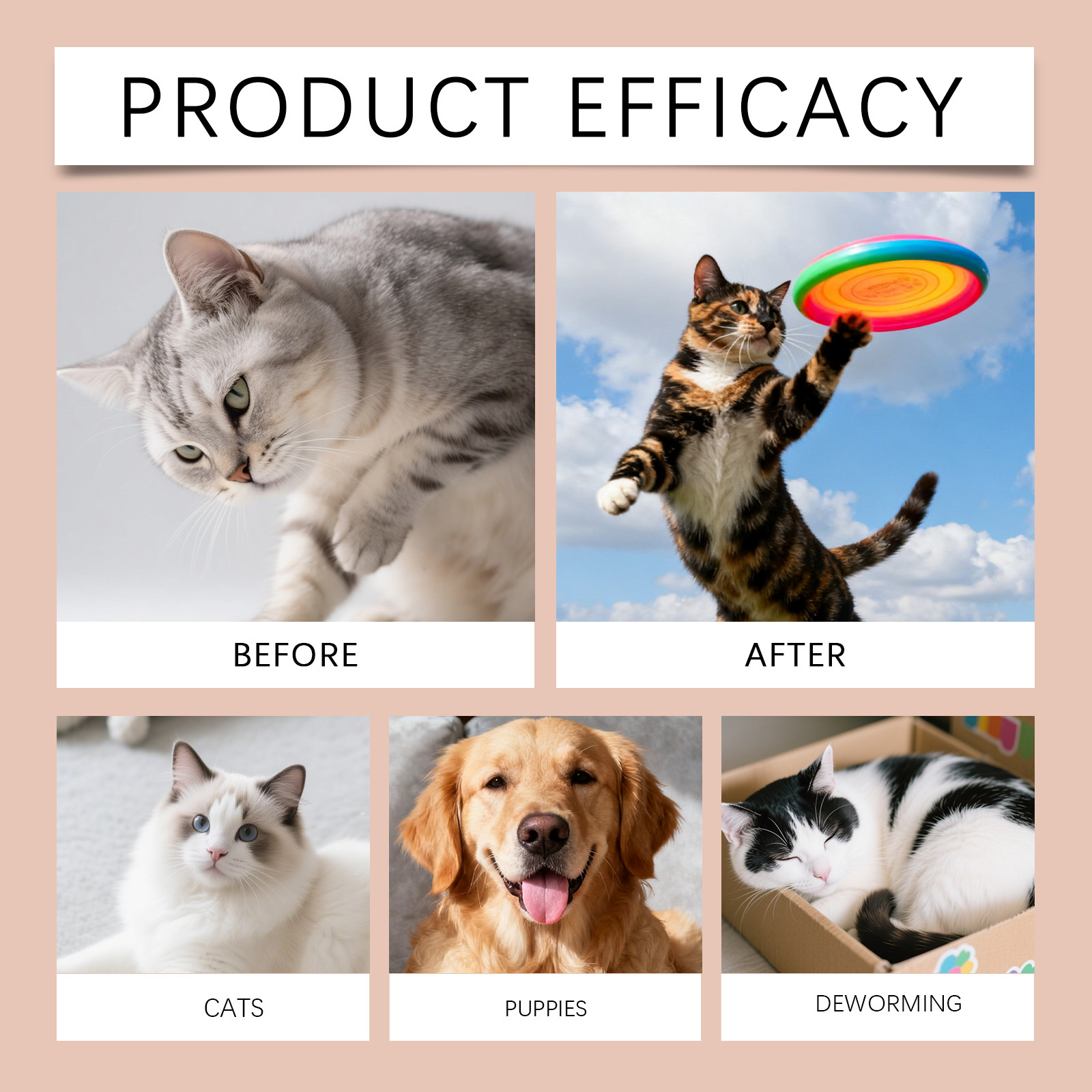 Cat coat care supplement drops TinPaw packaging