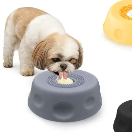 Pet Feeding Bowl