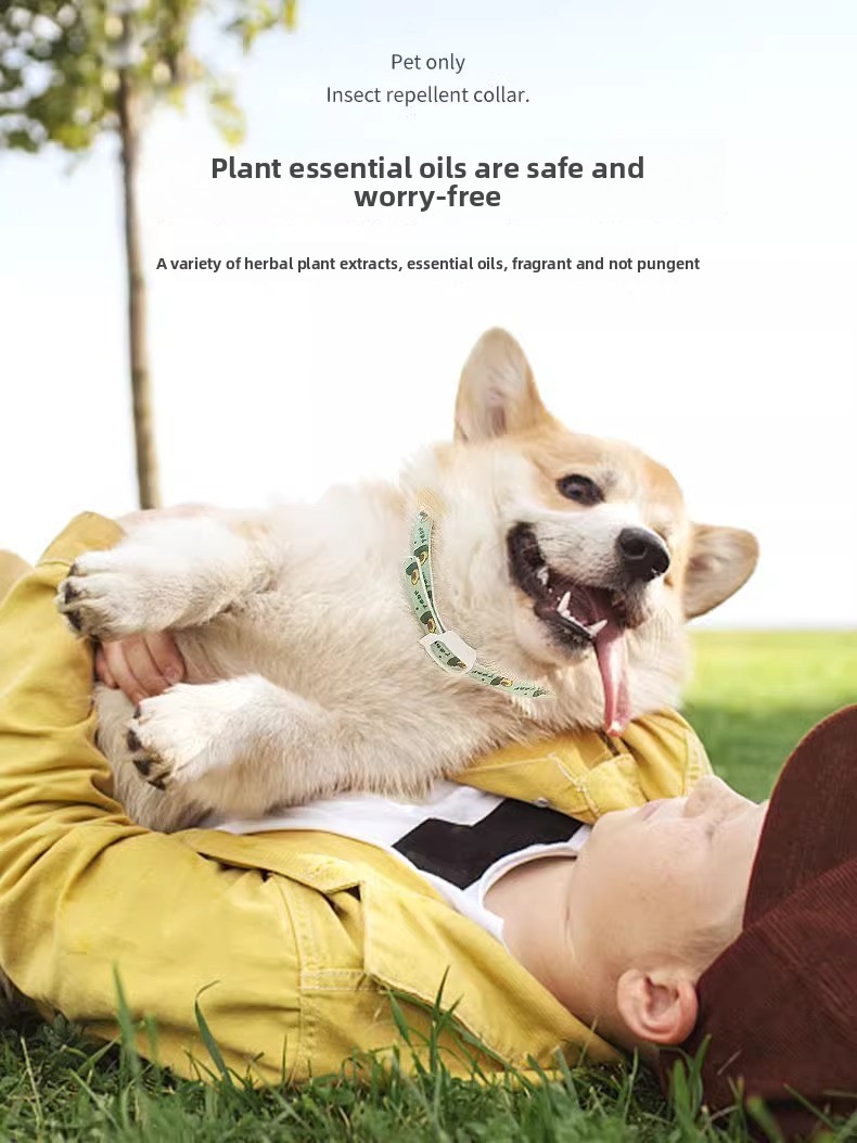 Flea collar colours for dogs and cats