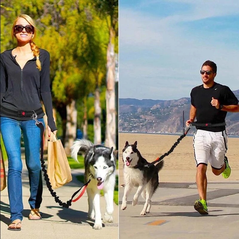Pet-Dog-Cat-Leash-Traction-Rop