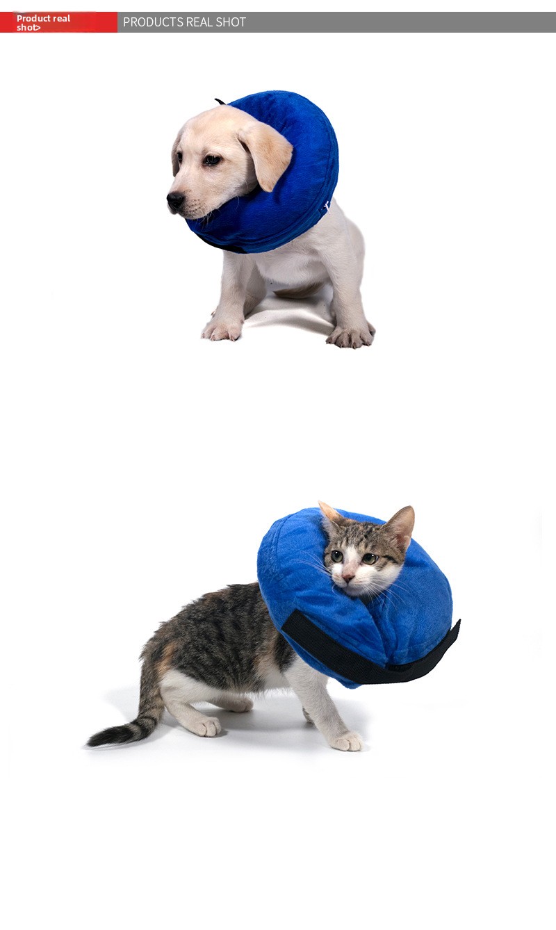 Inflatable Pet Collar 3