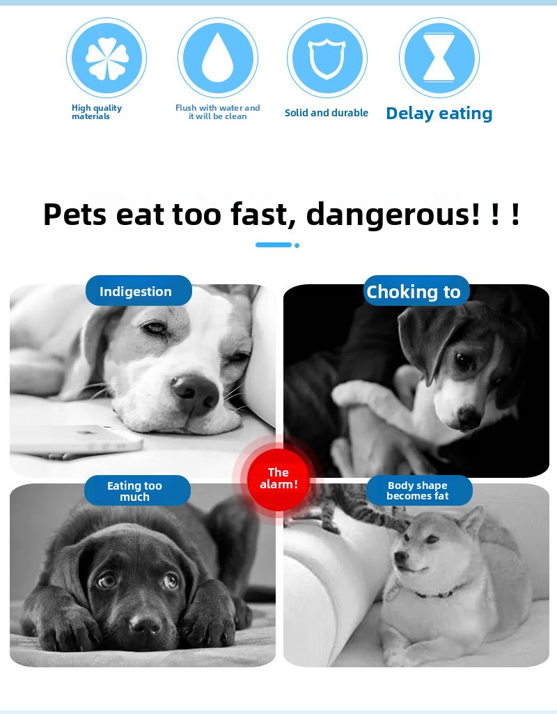 Slow feeder dog bowl non-slip base stability during feeding