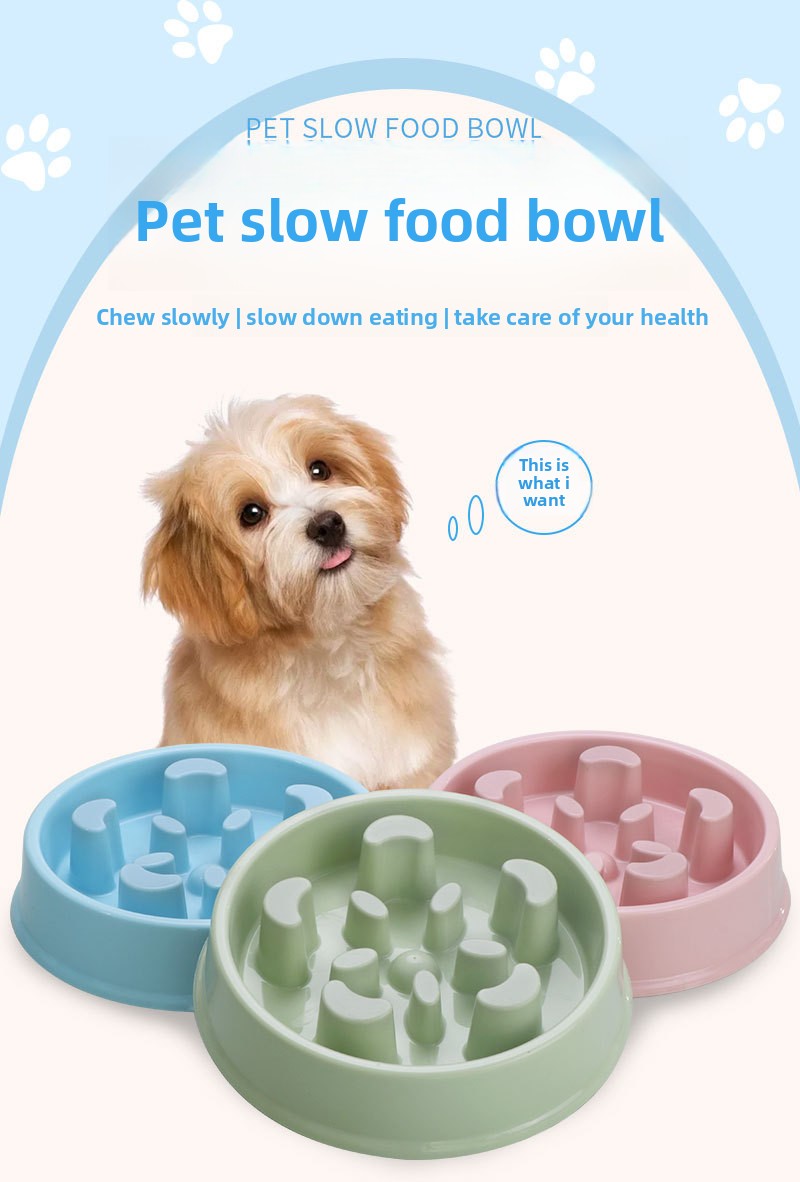 Slow feed dog bowls non-slip maze feeder candy colours pink blue green