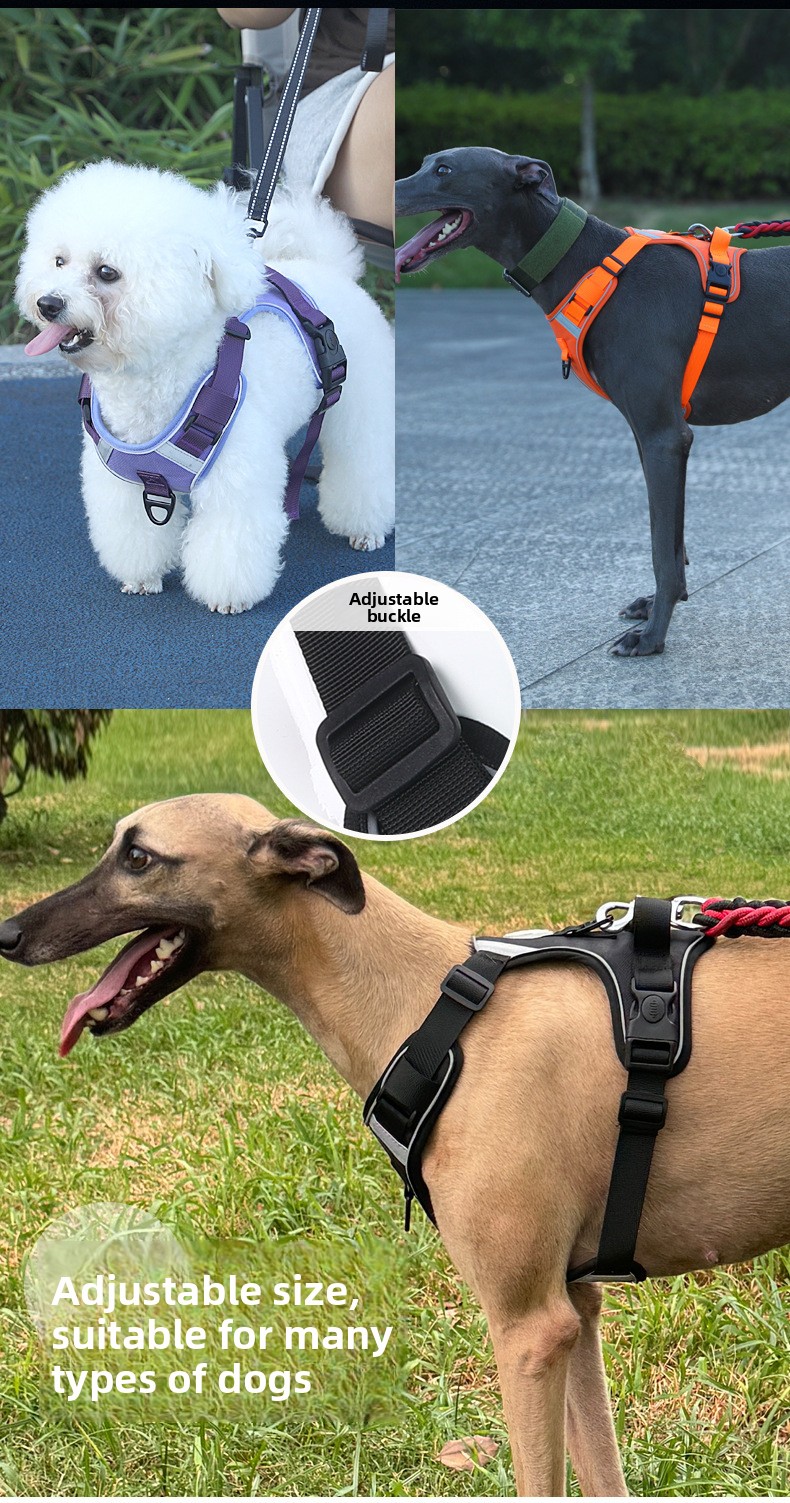 Hundegeschirr mit westenartiger Leine