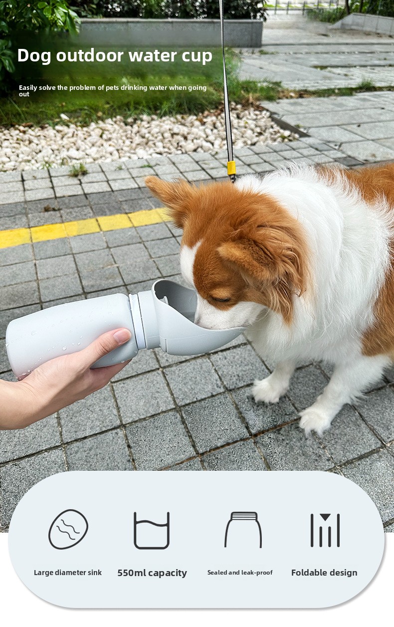 Portable dog water bottle with slow feed bowl small foldable travel set