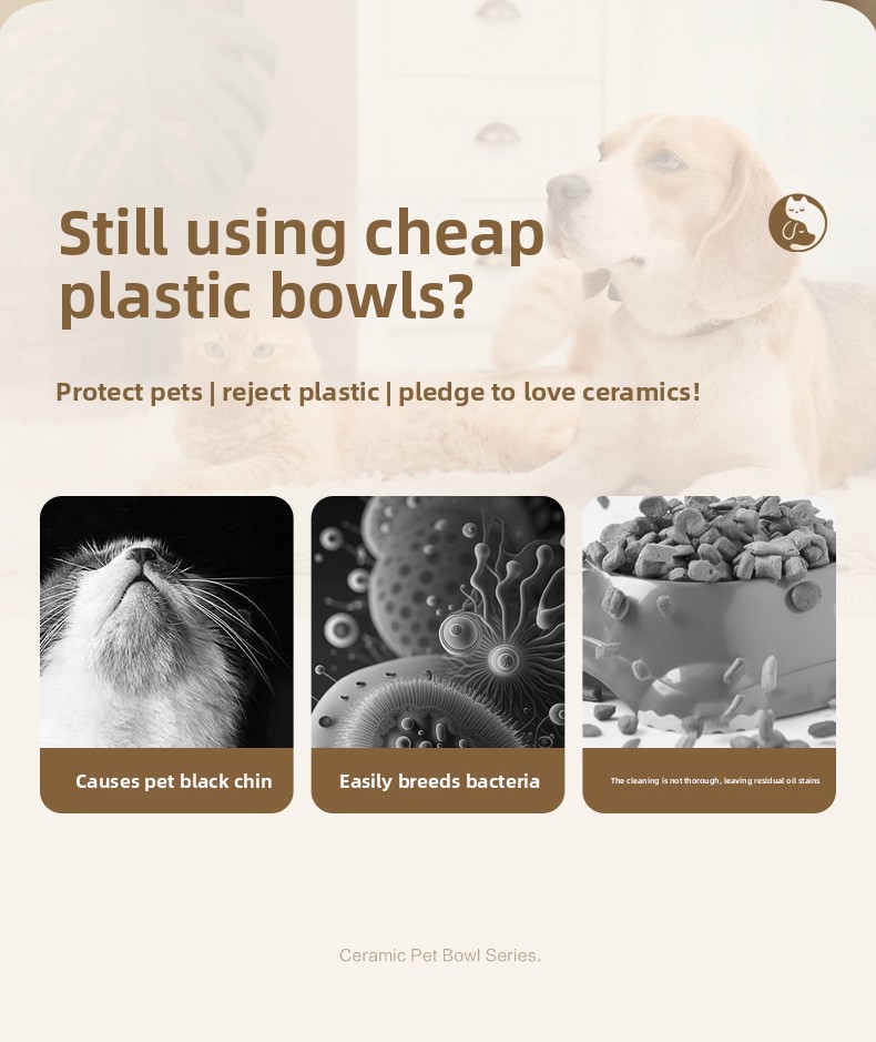 Elevated slow feed dog bowl for large dogs senior pets cervical protection