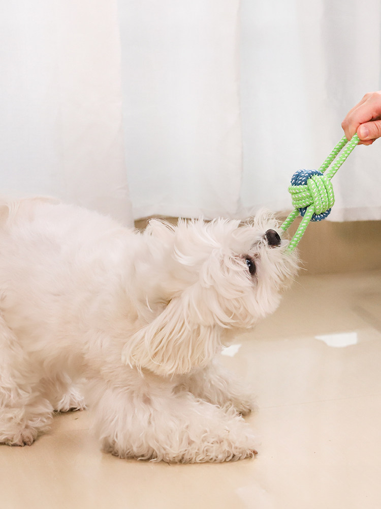 Strong dog rope toy set for aggressive chewers outdoor play