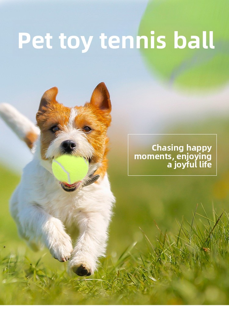 Rubber dog chew toy elastic tennis ball