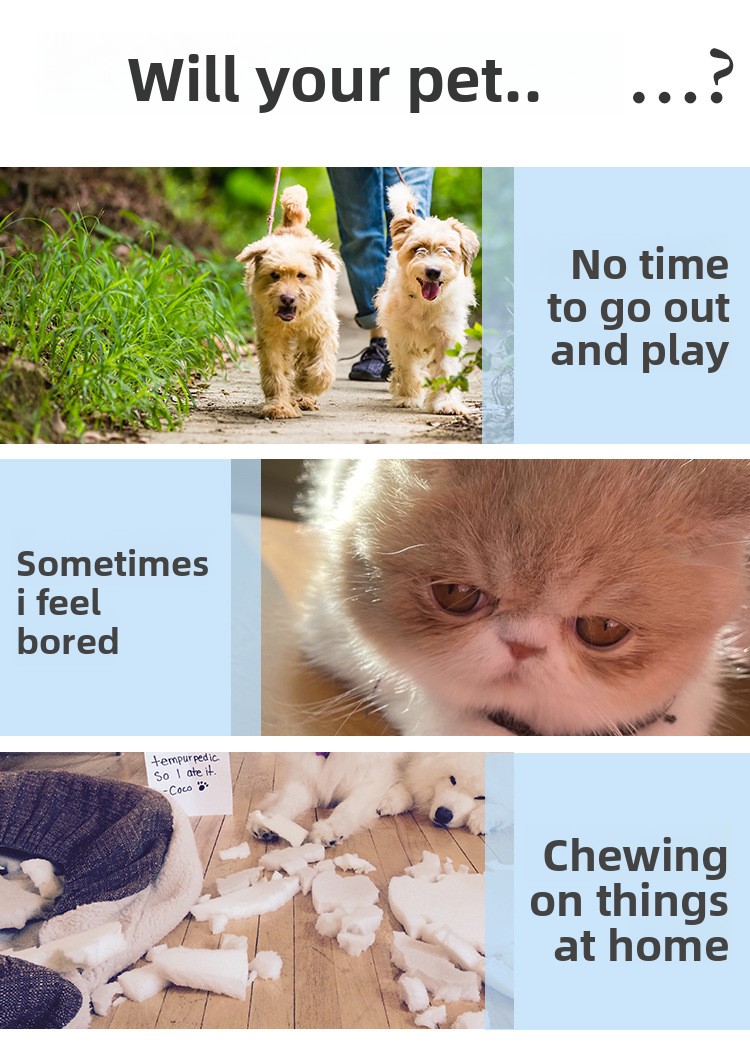 Dog chew toy pack variants