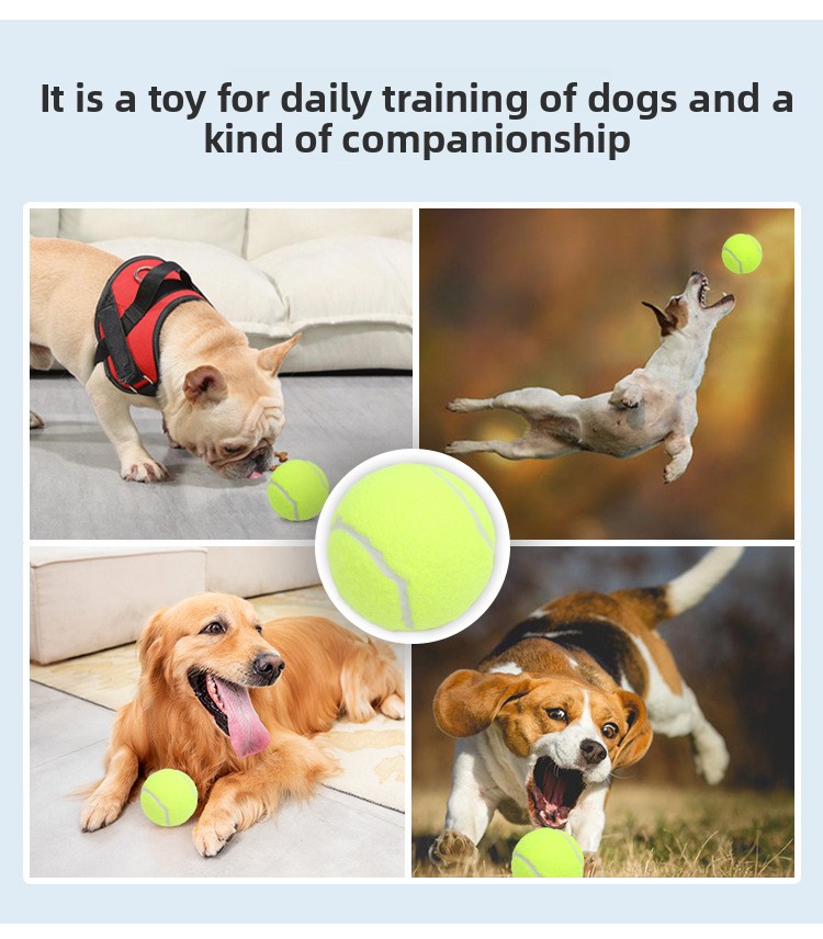 Dog toy packing list contents