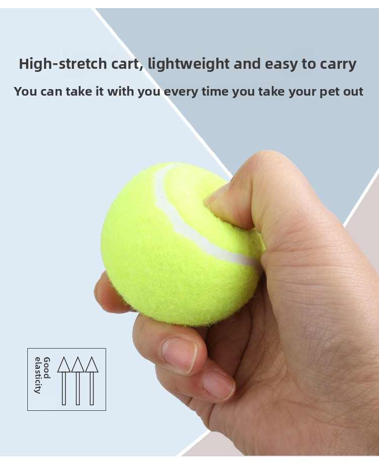 Rubber dog chew toy product detail