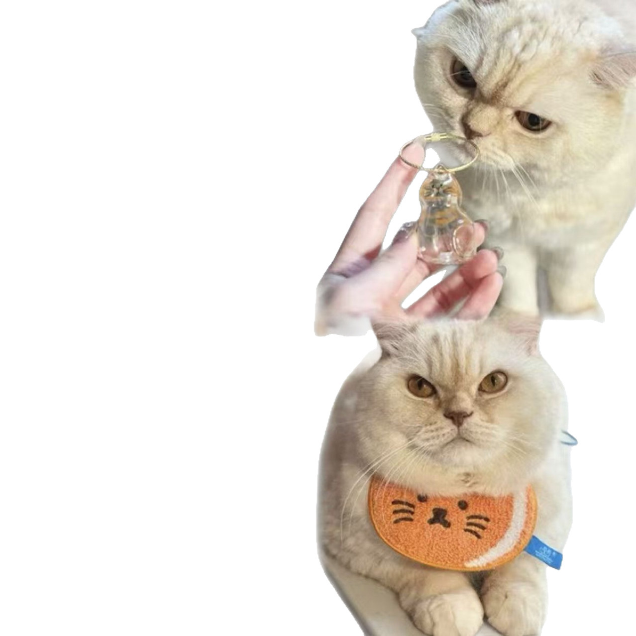 Llavero cápsula para guardar pelo de tu gato | GATOKOOL