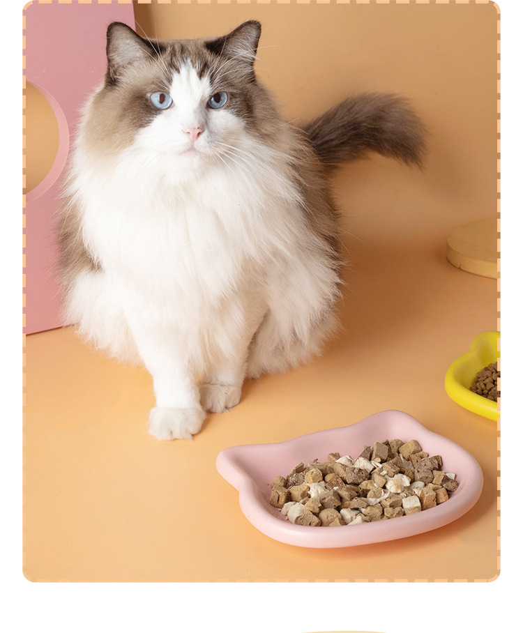 Plato para gatos para comida húmeda y premios: imagen adicional