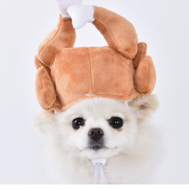Funny Pet Halloween Costume Dress - Polyester - product details