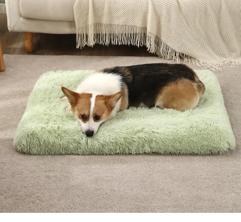cama-mascotas-4