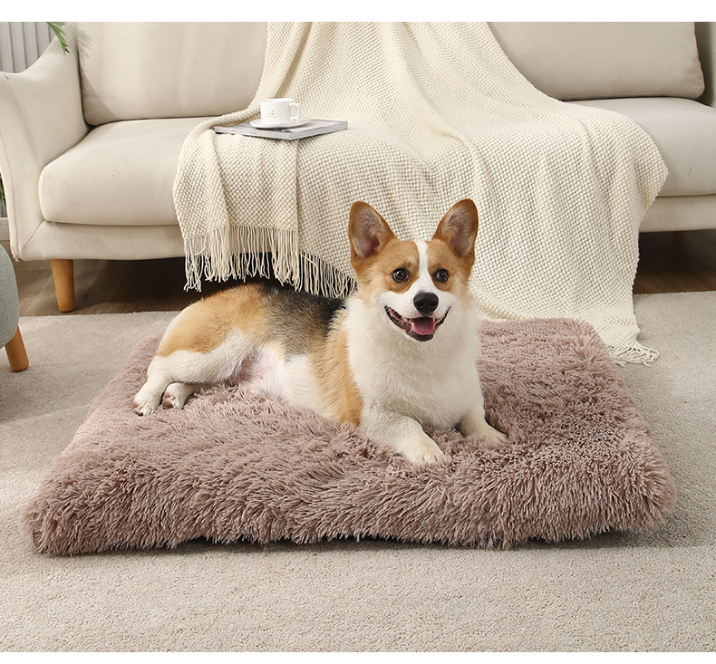 cama-mascotas-1