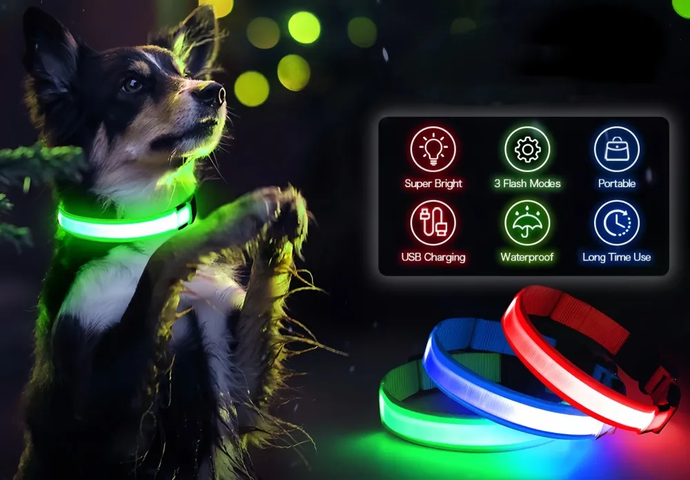 LED dog collar product view