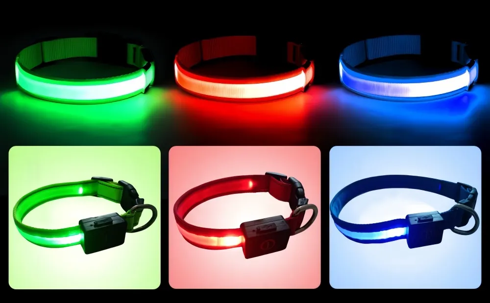LED dog collar detail