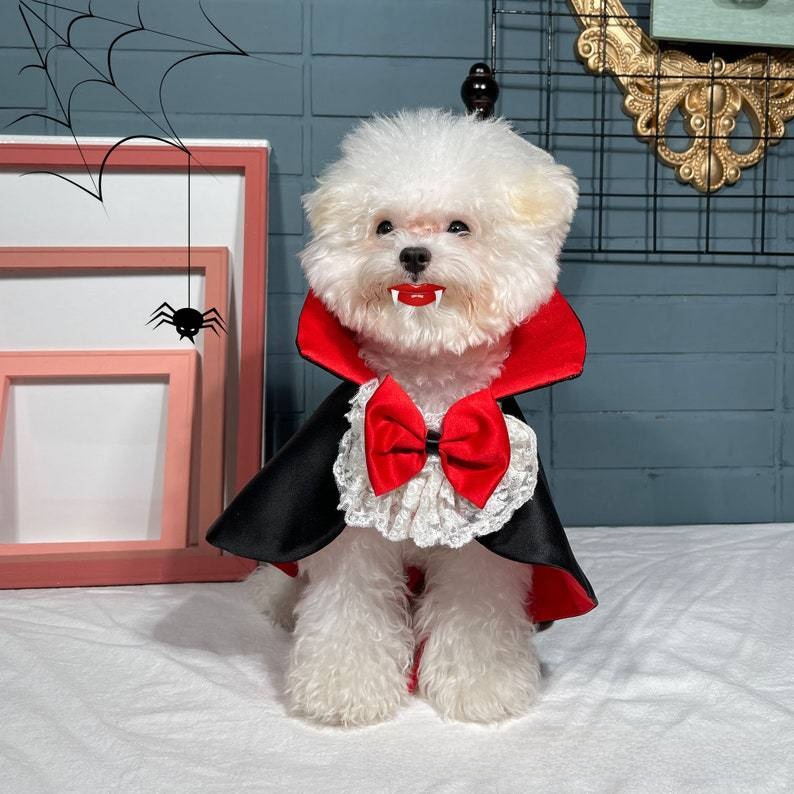 Pet Vampire Cloak Halloween Costume - Satin - product details