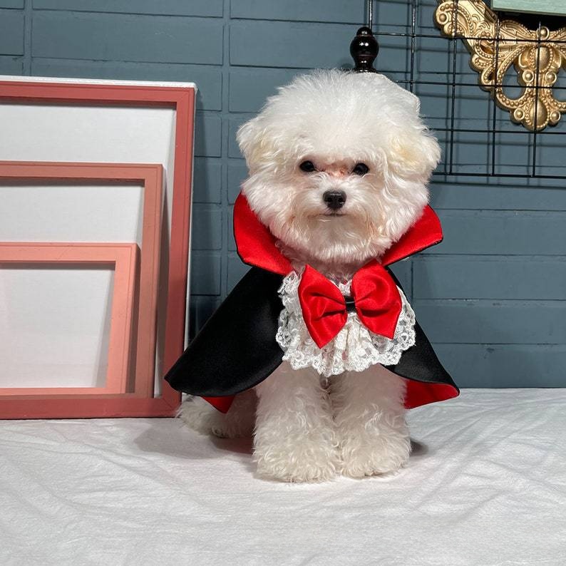 Pet Vampire Cloak Halloween Costume - Satin - product details