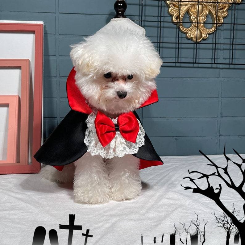 Pet Vampire Cloak Halloween Costume - Satin - product details