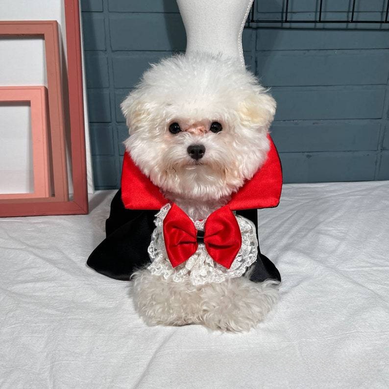 Pet Vampire Cloak Halloween Costume - Satin - product details