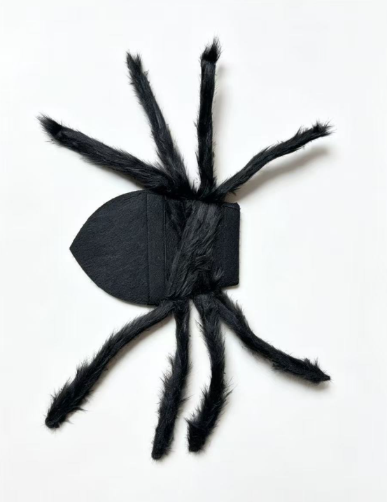 Pet Spider Halloween Costume - Cloth - product details