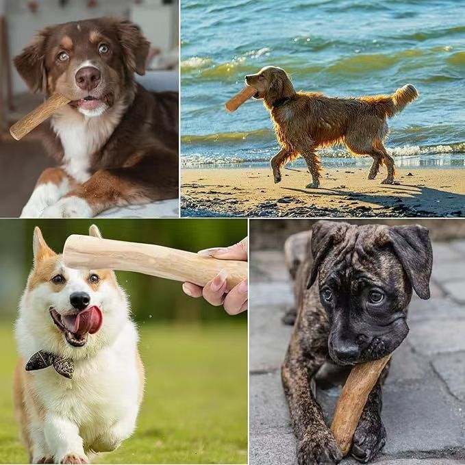 Various Sizes of Chew Sticks