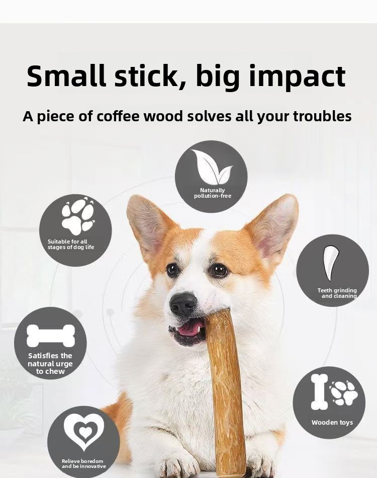 Dog with Chew Stick