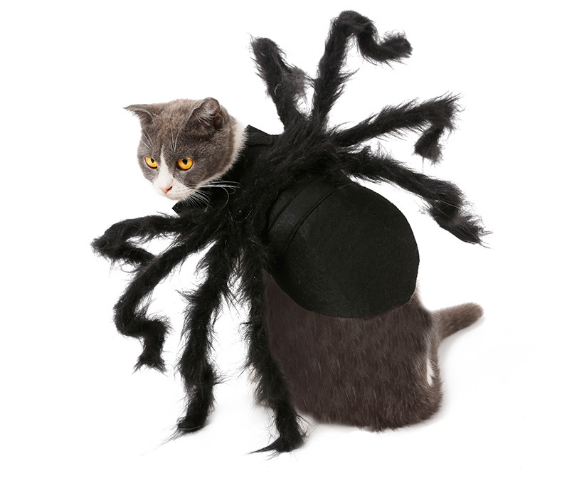 Halloween Pet Spider Costume - product details