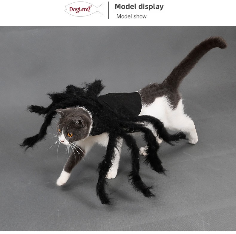 Halloween Pet Spider Costume - product details