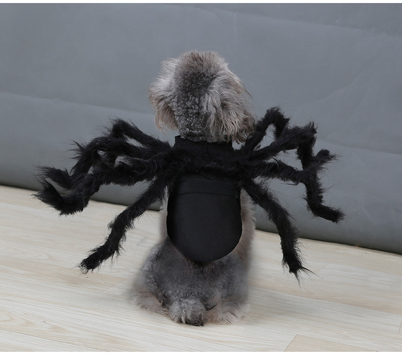 Halloween Pet Spider Costume - product details