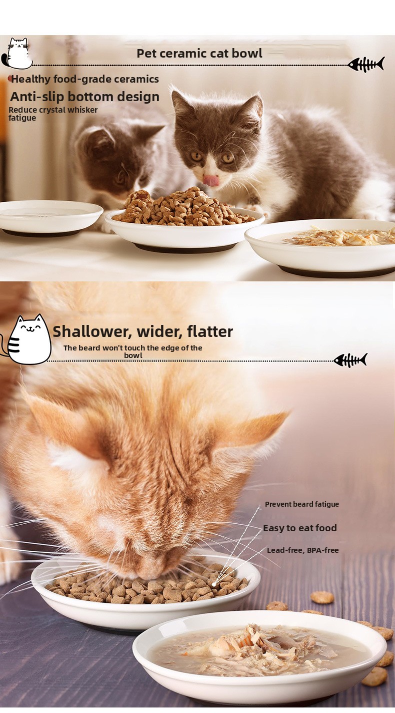 Plato de cerámica para gatos de 15 cm: imagen adicional