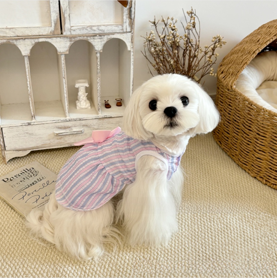 Vestido para gatos con cuadros y rayas: imagen adicional