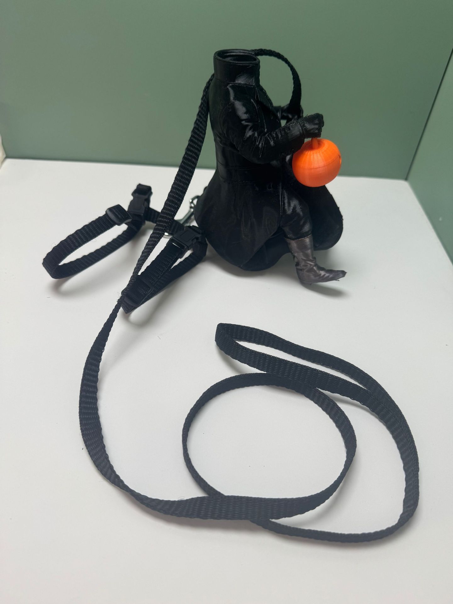 New Halloween Cross-Border Headless Horseman Cat Costume