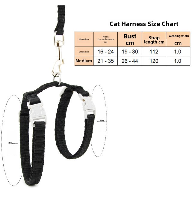 New Halloween Cross-Border Headless Horseman Cat Costume