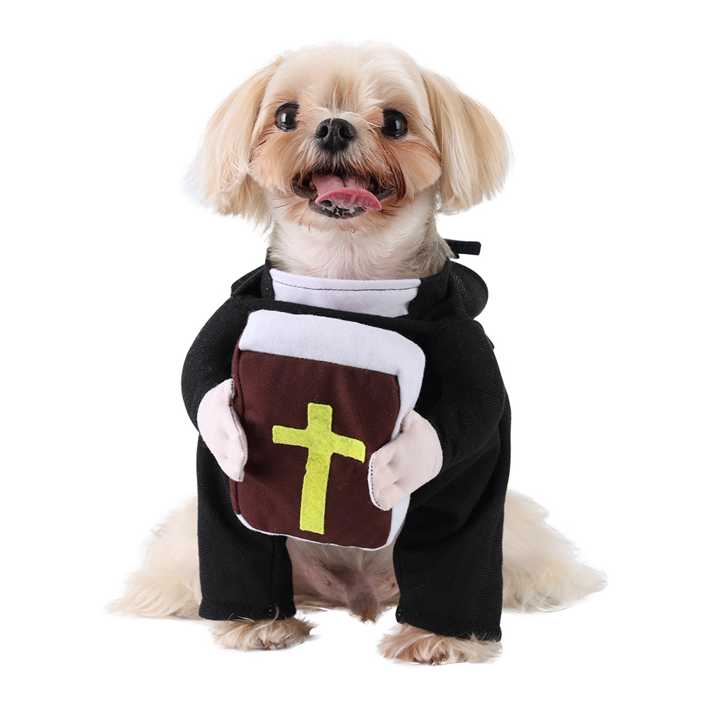 Pet Halloween Transformation