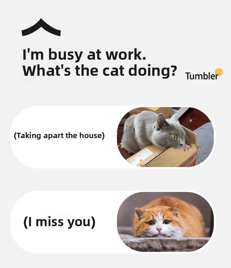 Durable Interactive Ball for Pets