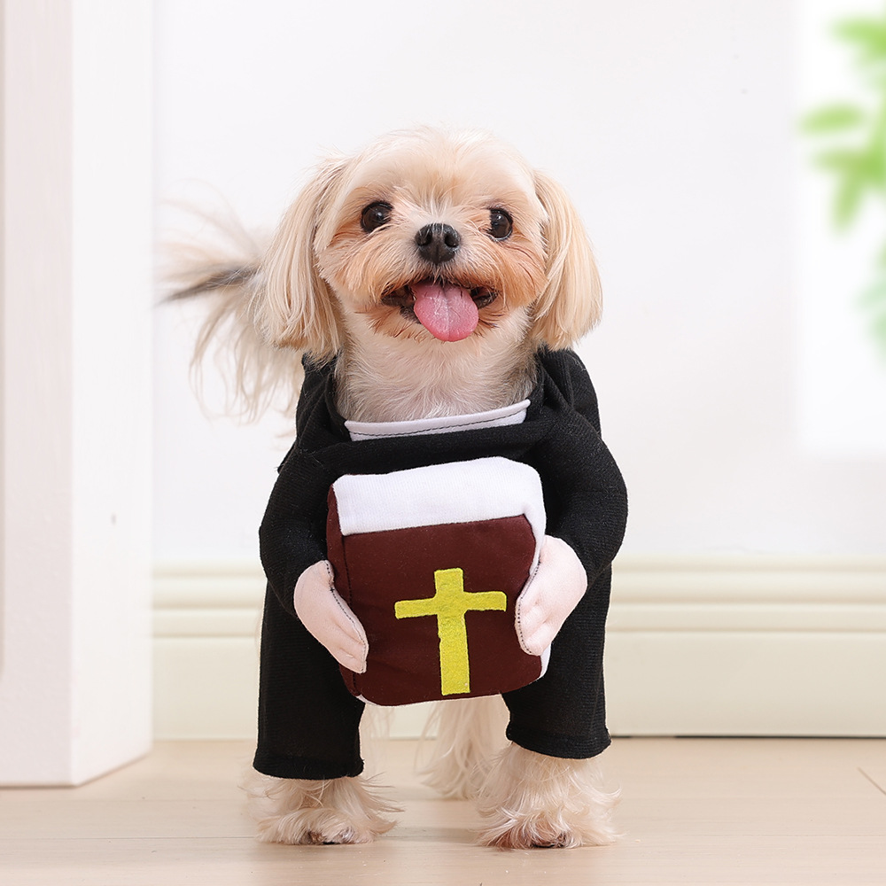Pet Halloween Transformation