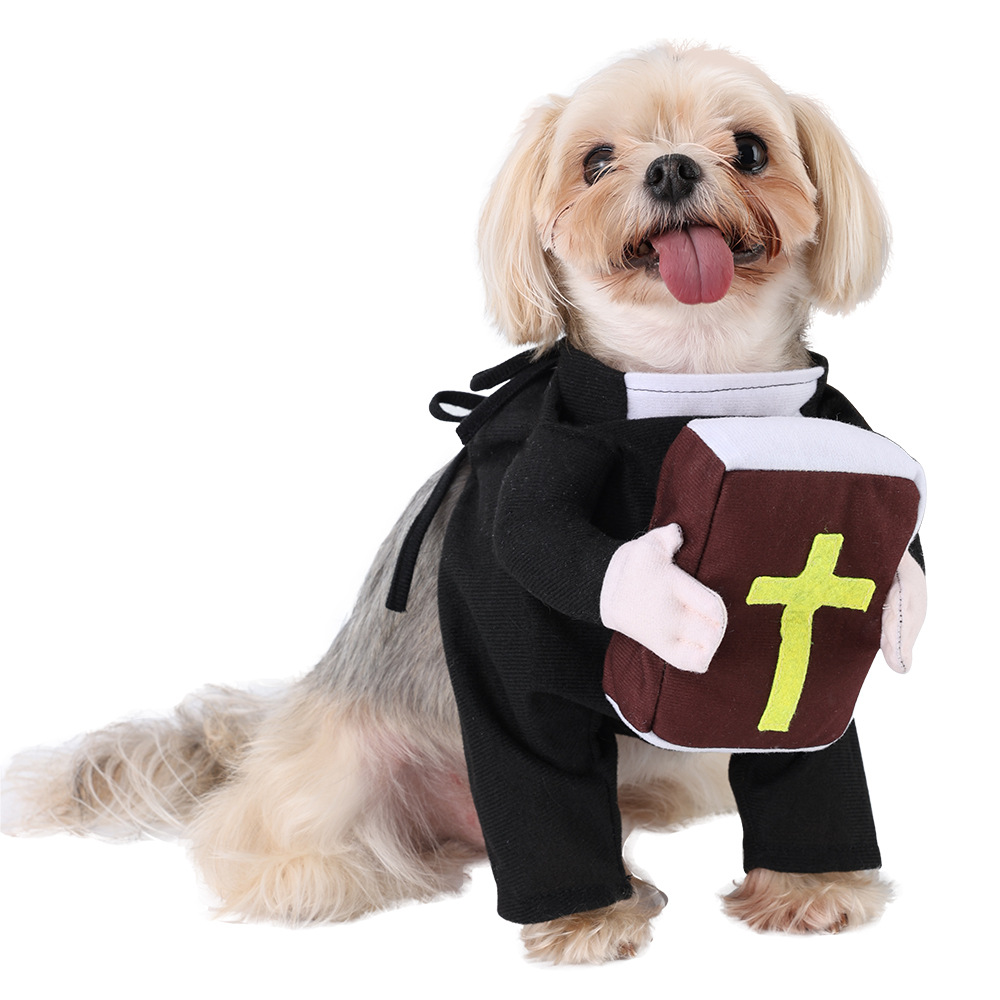 Pet Halloween Transformation