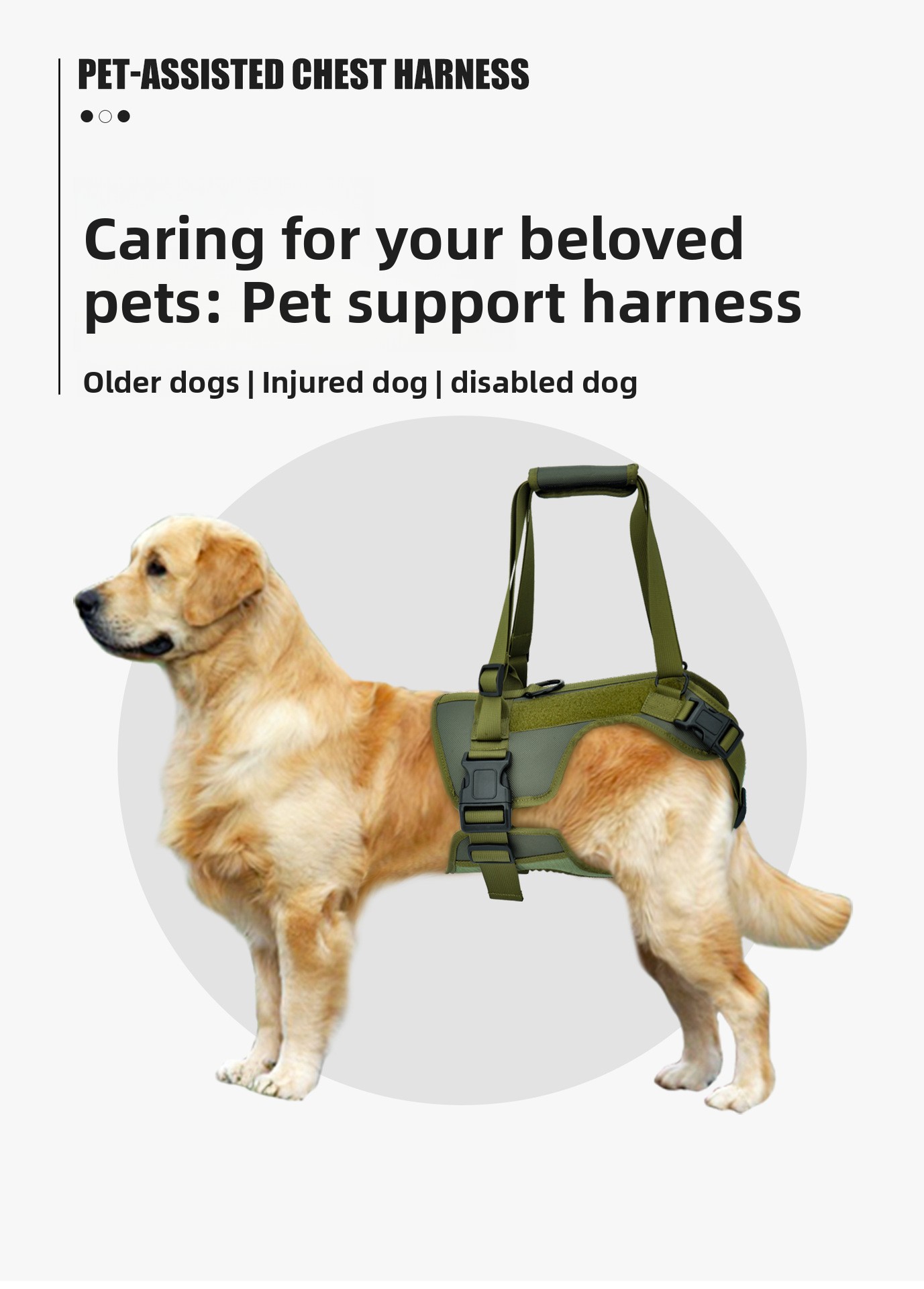 Dog Rehabilitation Training Vest Image 1