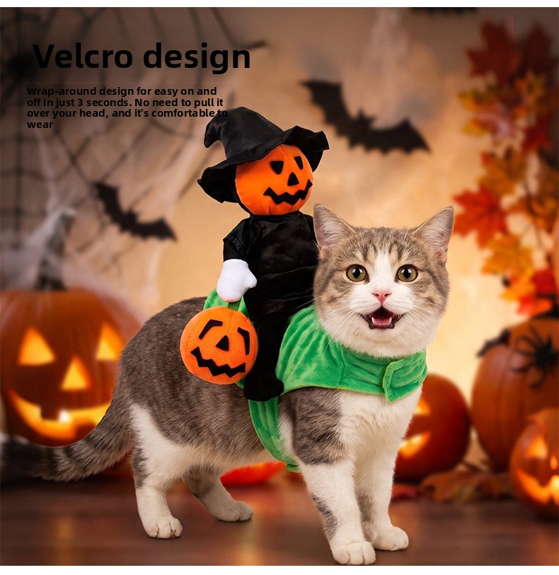 Halloween Pumpkin Knight Pet Costume