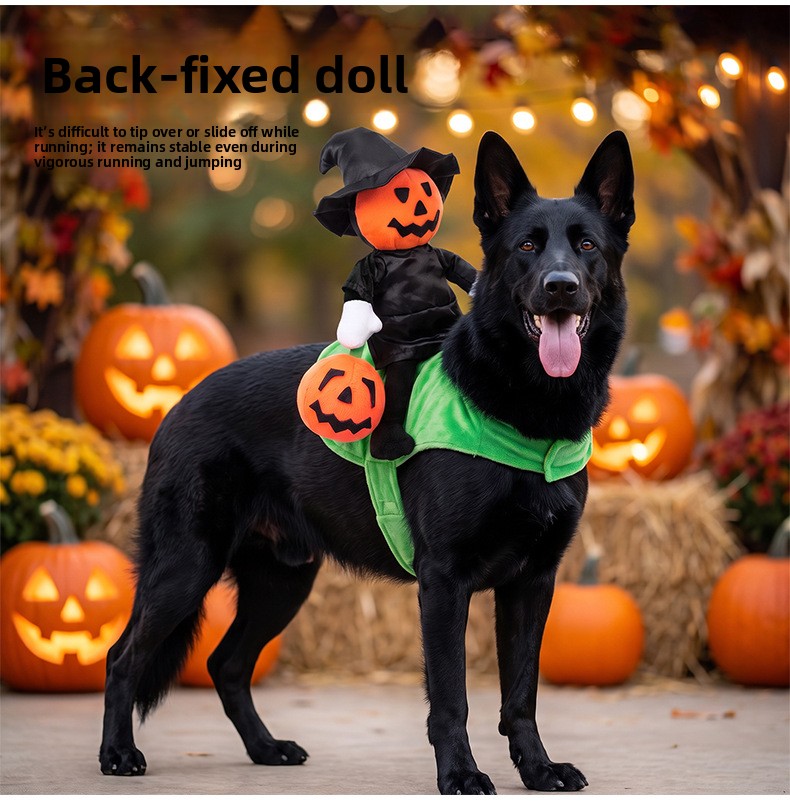 Halloween Pumpkin Knight Pet Costume