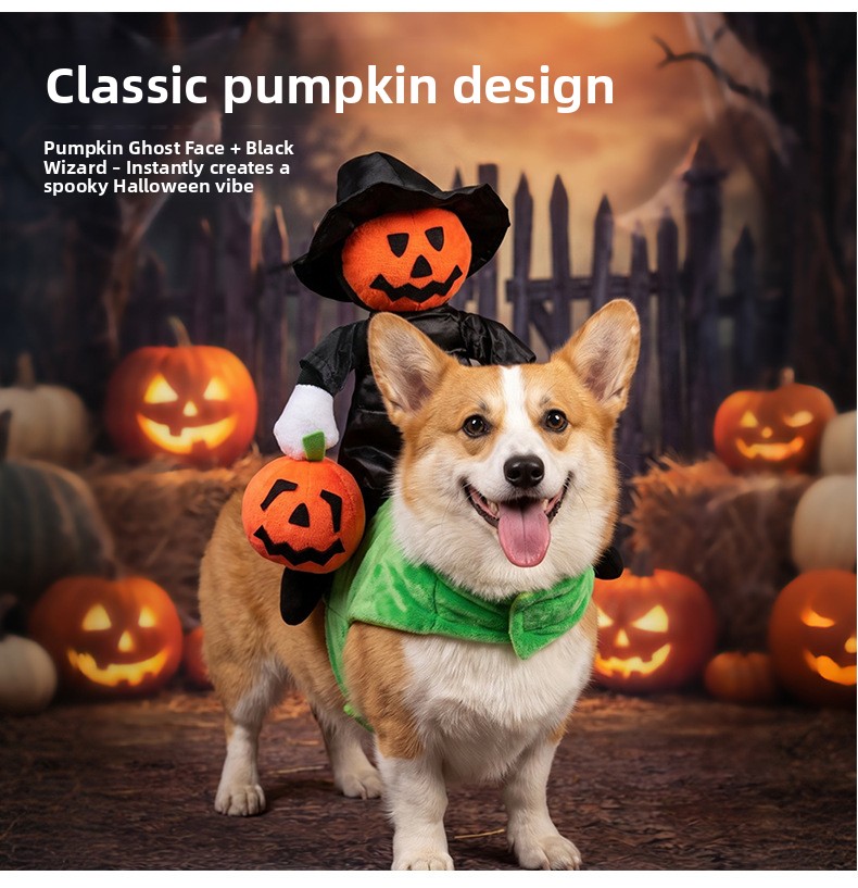 Halloween Pumpkin Knight Pet Costume