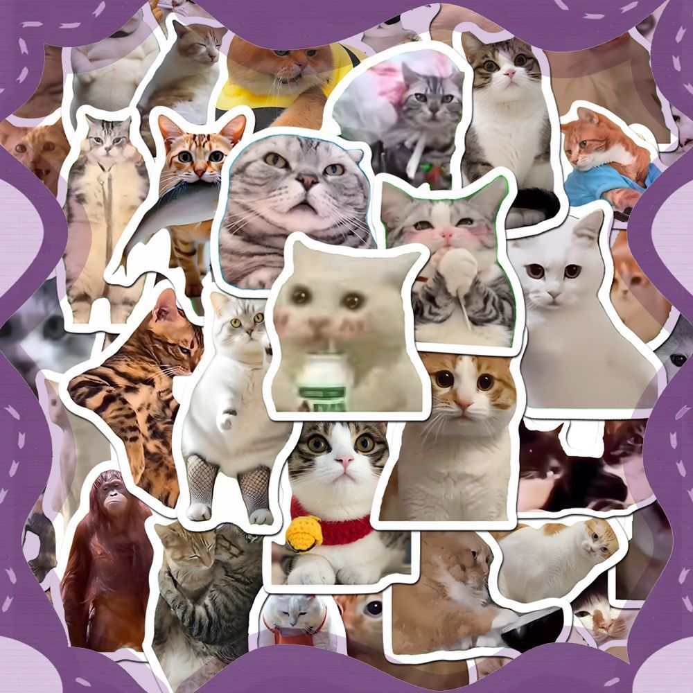 Pegatinas de gatos y memes con caja opcional | GATOKOOL