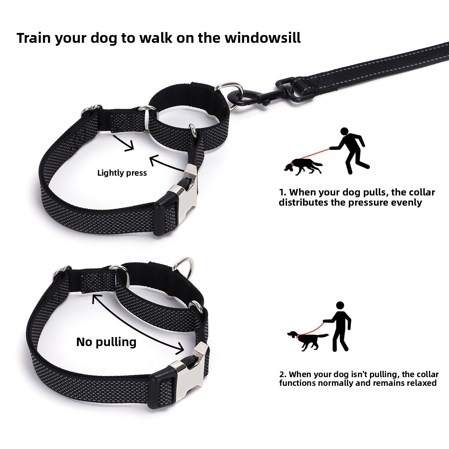 Pawlume Reflective Martingale Dog Collar