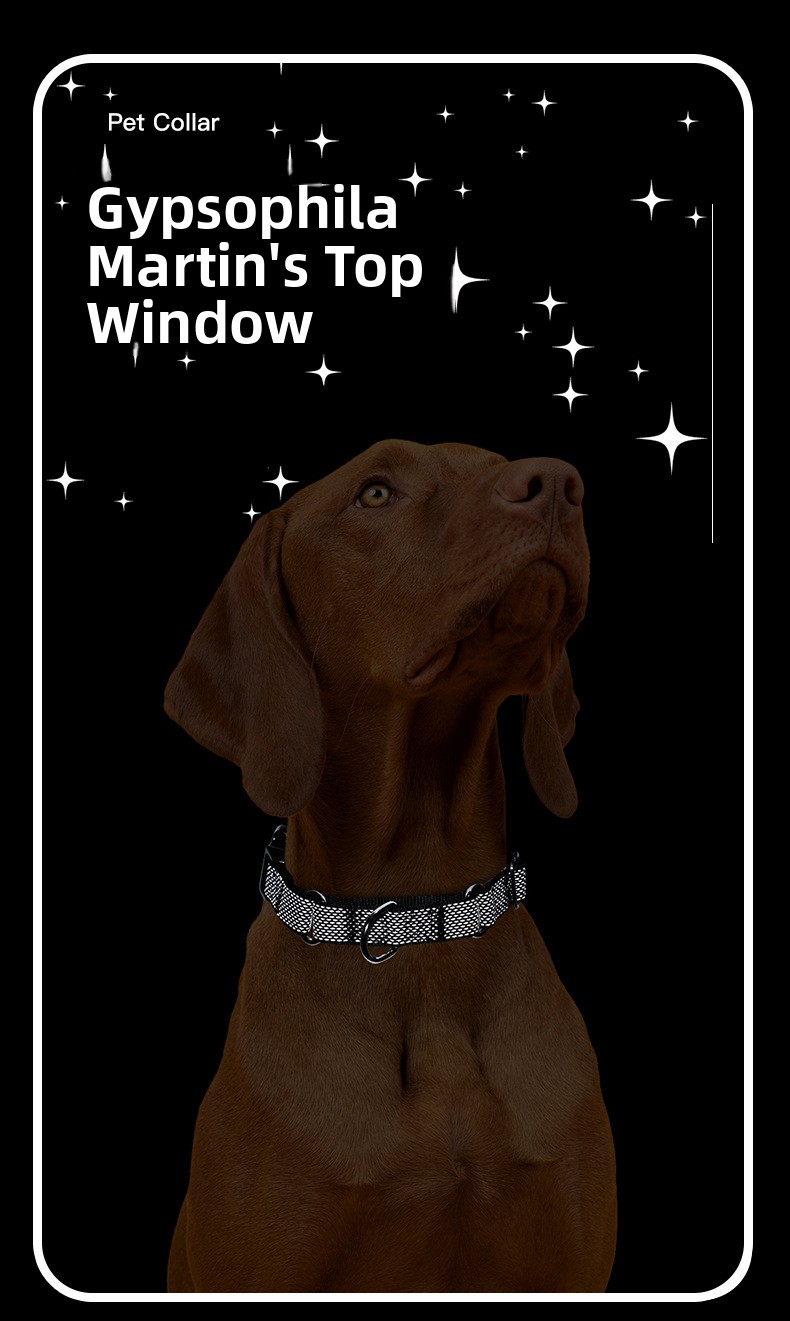 Pawlume Reflective Martingale Dog Collar