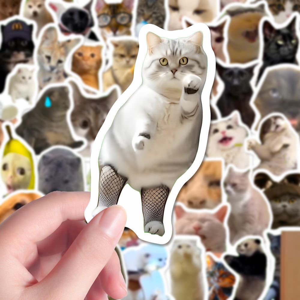 Pegatinas de gatos y memes con caja opcional | GATOKOOL