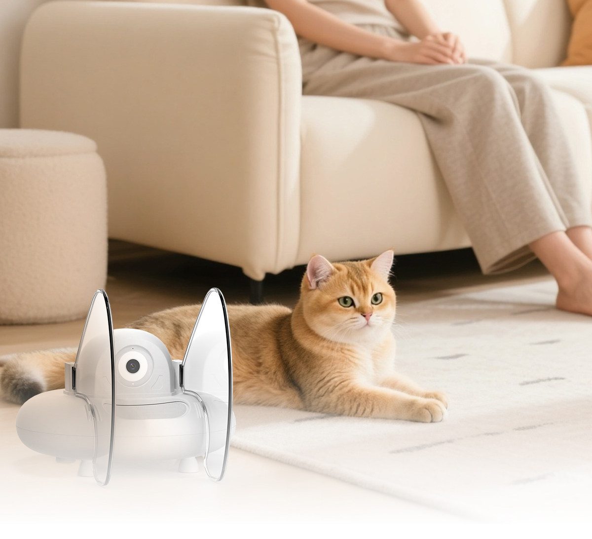 Automatic Pet Feeder