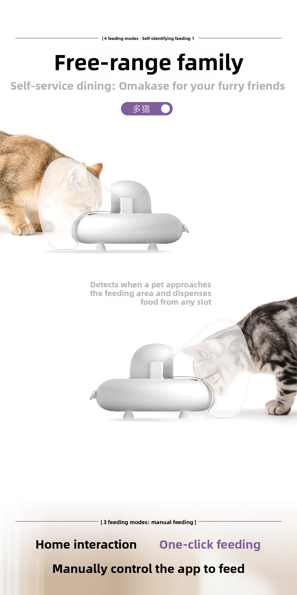Automatic Pet Feeder